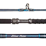 Blue Rose range blooms